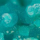 Chrysocolla<br />Ludwig Mine, Singatse Range, Ludwig, Yerington District, Lyon County, Nevada, USA<br />FOV = 1.8 mm<br /> (Author: Doug)