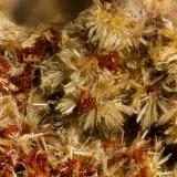 Mimetite<br />Santa Ana Mine, Cerrillos Mountains, Tocopilla Province, Antofagasta Region, Chile<br />FOV = 1.8 mm<br /> (Author: Doug)