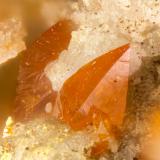 Wulfenite<br />Santa Ana Mine, Cerrillos Mountains, Tocopilla Province, Antofagasta Region, Chile<br />FOV = 1.3 mm<br /> (Author: Doug)