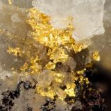 GoldDona Kay Mine, Granite Wash Mountains, Ellsworth District, La Paz County, Arizona, USAFOV = 1.2 mm (Author: Doug)