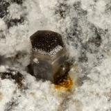 Brianyoungite, Pyromorphite<br />Block 14 opencut, Broken Hill, Yancowinna County, New South Wales, Australia<br />FOV = 1.1 mm<br /> (Author: Doug)
