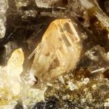 Titanite<br />Lemolo Lake, Clearwater, Douglas County, Oregon, USA<br />FOV = 0.9 mm<br /> (Author: Doug)