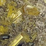 Fluoro-edenite<br />Lemolo Lake, Clearwater, Douglas County, Oregon, USA<br />FOV = 1.5 mm<br /> (Author: Doug)
