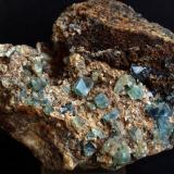 Fluorita<br />Pedrera Berta, Turó de Can Domènech, Serra de Roques Blanques, Sant Cugat del Vallès-El Papiol, Comarca Vallès Occidental / Baix Llobregat, Barcelona, Cataluña / Catalunya, España<br />13 x 10 cm<br /> (Autor: Pedro Antonio)
