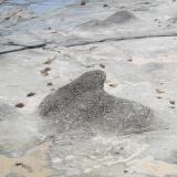 Caliza margosa

Estas son unas extrañas formaciones de las que ya alguien ha publicado fotos en el hilo. Están en Punta Paloma, Tarifa (Autor: JfRuiz)