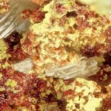 Mimetite, CarminiteGold Hill Mine, Gold Hill, Gold Hill District, Tooele County, Utah, USAFOV = 2.0 mm (Author: Doug)