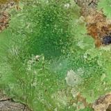 Austinite<br />Gold Hill Mine, Gold Hill, Gold Hill District, Tooele County, Utah, USA<br />FOV = 4.0 mm<br /> (Author: Doug)