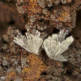 Austinite<br />Gold Hill Mine, Gold Hill, Gold Hill District, Tooele County, Utah, USA<br />FOV = 4.0 mm<br /> (Author: Doug)