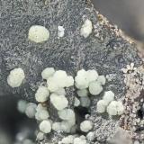 Fraipontite<br />War Eagle Mine, Upper Noonday Camp, Nopah Range, Inyo County, California, USA<br />FOV = 2.0 mm<br /> (Author: Doug)