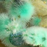 Mixite, Cornwallite<br />Gold Hill Mine, Gold Hill, Gold Hill District, Tooele County, Utah, USA<br />FOV = 4.0 mm<br /> (Author: Doug)