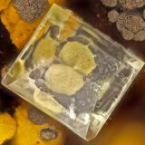 Adamite<br />Gold Hill Mine, Gold Hill, Gold Hill District, Tooele County, Utah, USA<br />FOV = 2.0 mm<br /> (Author: Doug)