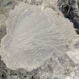 Gismondine, Chabazite<br />Oak Grove Fork, Clackamas River localities, Clackamas County, Oregon, USA<br />FOV = 4.0 mm<br /> (Author: Doug)