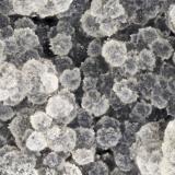 Cowlesite<br />Four Mile Quarry, Porter, Grays Harbor County, Washington, USA<br />FOV = 4.0 mm<br /> (Author: Doug)