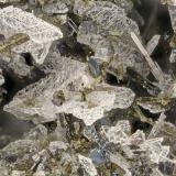 Hedenbergite, Albite, Ilmenite, Fluorapatite<br />Lemolo Lake Quarry, Douglas County, Oregon, USA<br />FOV = 4.0 mm<br /> (Author: Doug)