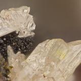 Cerussite<br />Dives Mine, Trigo Mountains, Silver District, La Paz County, Arizona, USA<br />FOV = 1.5 mm<br /> (Author: Doug)