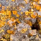 Natropharmacosiderite<br />Gold Hill Mine, Gold Hill, Gold Hill District, Tooele County, Utah, USA<br />FOV = 4.00 mm<br /> (Author: Doug)