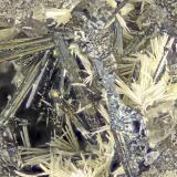 Stibnite<br />Red Bird Mine, Antelope Springs District, Pershing County, Nevada, USA<br />FOV = 4.0 mm<br /> (Author: Doug)