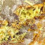 Mimetite<br />Reward Mine, Reward, Russ District, Inyo County, California, USA<br />FOV = 4.0 mm<br /> (Author: Doug)