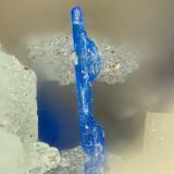Linarite<br />Empress Mine, Zinc Hill, Argus Mountains (Argus Range), Zinc Hill District, Inyo County, California, USA<br />FOV = 1.6 mm<br /> (Author: Doug)