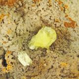 Calcioferrite<br />Moculta Phosphate Quarry, Barossa Valley, Angaston, Mount Lofty Ranges, South Australia, Australia<br />FOV = 4.0 mm<br /> (Author: Doug)
