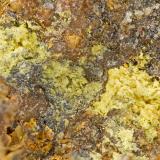 Perite<br />Victorio District, Luna County, New Mexico, USA<br />FOV = 3.2 mm<br /> (Author: Doug)