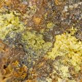 PeriteVictorio District, Luna County, New Mexico, USAFOV = 3.2 mm (Author: Doug)