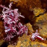 Cuprite<br />Ray Mines, Scott Mountain area, Mineral Creek District, Dripping Spring Mountains, Pinal County, Arizona, USA<br />FOV = 3.2 mm<br /> (Author: Doug)