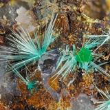 Mixite<br />Gold Hill Mine, Gold Hill, Gold Hill District, Tooele County, Utah, USA<br />FOV = 3.6 mm<br /> (Author: Doug)