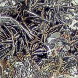 Hematite<br />Chub Lake, Hailesboro, St. Lawrence County, New York, USA<br />FOV = 4.0 mm<br /> (Author: Doug)