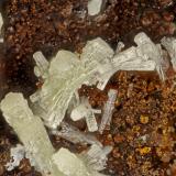 Mimetite<br />Gold Hill Mine, Gold Hill, Gold Hill District, Tooele County, Utah, USA<br />FOV = 1.9 mm<br /> (Author: Doug)