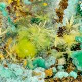 Phurcalite<br />Posey Mine, Red Canyon, White Canyon District, San Juan County, Utah, USA<br />FOV = 3.5 mm<br /> (Author: Doug)