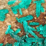 Dioptase<br />Bonanza Mine, Bonanza and Golden Eagle Mine group, Martin Peak, Little Harquahala Mountains, Salome, Little Harquahala District, La Paz County, Arizona, USA<br />FOV = 4.0 mm<br /> (Author: Doug)