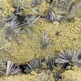 Stibnite<br />Getchell Mine, Adam Peak, Potosi District, Osgood Mountains, Humboldt County, Nevada, USA<br />FOV = 4.0 mm<br /> (Author: Doug)