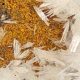 Hemimorphite<br />Tecoma Hill, Pilot Range, Lucin District, Box Elder County, Utah, USA<br />FOV = 4.0 mm<br /> (Author: Doug)