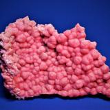 Rhodochrosite<br />Oppu Mine, Nishimeya-mura, Nakatsugaru District, Aomori Prefecture, Tohoku Region, Honshu Island, Japan<br />210 mm x 130 mm<br /> (Author: Don Lum)