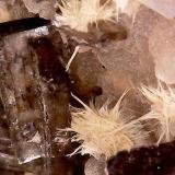 Mordenite, 'Stellerite' and Hyalite<br />Monte Bérico, Caxias do Sul, Nordeste Rio-grandense, Rio Grande do Sul, Brazil<br />Crystals with 4 mm<br /> (Author: Anísio Cláudio)