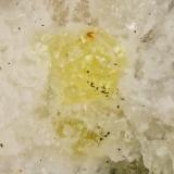 Fresnoite<br />Esquire No. 1 claim, Rush Creek, Rush Creek deposit, Big Creek-Rush Creek District, Fresno County, California, USA<br />FOV = 0.8 mm<br /> (Author: Doug)