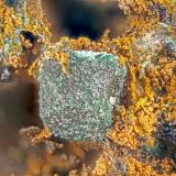 Malachite, Cuprite<br />Omega Mine, Monument Mountain, Santa Rita Mountains, Helvetia, Helvetia-Rosemont District, Pima County, Arizona, USA<br />FOV = 4.0mm<br /> (Author: Doug)