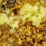 Phosphohedyphane<br />79 Mine, Chilito, Hayden area, Banner District, Dripping Spring Mountains, Gila County, Arizona, USA<br />FOV = 2.0 mm<br /> (Author: Doug)