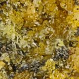 Murdochite, Mimetite<br />Quo Vadis Mine, Henderson, Alunite District, Clark County, Nevada, USA<br />FOV = 1.2 mm<br /> (Author: Doug)
