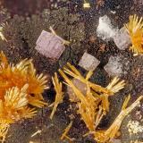 Vanadinite, Fluorite<br />Kaaba Mine, Hualapai (Hualpai) Mountains, Montes Hualapai (Hualpai), Maynard District, Mohave County, Arizona, USA<br />FOV = 3.6 mm<br /> (Author: Doug)