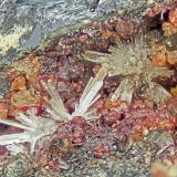Klebelsbergite<br />Pereta Mine, Pereta, Magliano in Toscana, Grosseto Province, Toscana, Italy<br />FOV = 4.0 mm<br /> (Author: Doug)