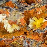 Klebelsbergite<br />Pereta Mine, Pereta, Magliano in Toscana, Grosseto Province, Toscana, Italy<br />FOV = 4.0 mm<br /> (Author: Doug)