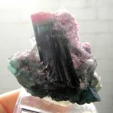 Elbaite<br />Quintos do Meio Mine, Parelhas, Caicó, Rio Grande do Norte, Brazil<br />4,5 x 4,4 x 3,4 cm<br /> (Author: Anísio Cláudio)