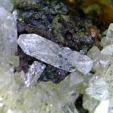 Austinita<br />Mina Gold Hill, Gold Hill, Distrito Gold Hill, Condado Tooele, Utah, USA<br />Cristal de 1,8 mm.<br /> (Autor: Antonio P. López)