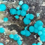 Mcguinnessite<br />Sierra Magnesite Mine (Premier Chemicals Mine), Gabbs, Gabbs District, Nye County, Nevada, USA<br />FOV = 3.9 mm<br /> (Author: Doug)