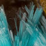 Aurichalcite<br />War Eagle Mine, Upper Noonday Camp, Nopah Range, Inyo County, California, USA<br />FOV = 3.8 mm<br /> (Author: Doug)