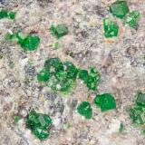 Uvarovite<br />Red Ledge Mine, Washington, Washington District, Nevada County, California, USA<br />FOV = 4.0 mm<br /> (Author: Doug)