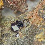 Anatase<br />Canaglia Mine, Sassari, Sassari Province, Sardinia/Sardegna, Italy<br />FOV = 4.0 mm<br /> (Author: Doug)