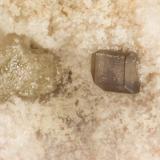 Corderoite<br />McDermitt Mine, Cordero, Opalite District, Humboldt County, Nevada, USA<br />FOV = 0.6 mm<br /> (Author: Doug)